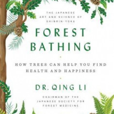 Forest Bathing: How Trees Can Help You Find Health and Happiness