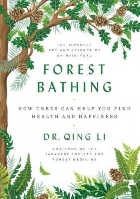Forest Bathing: How Trees Can Help You Find Health and Happiness foto