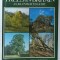 TREES IN BRITAIN , AN ILLUSTRATED GUIDE by BRIAN GRIMES and ERIC HERBERT , 1988