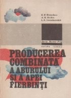 Producerea combinata a aburului si a apei fierbinti foto