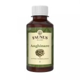 TINCTURA ANGHINARE 200ML, Faunus Plant