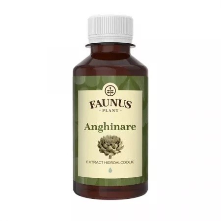 TINCTURA ANGHINARE 200ML