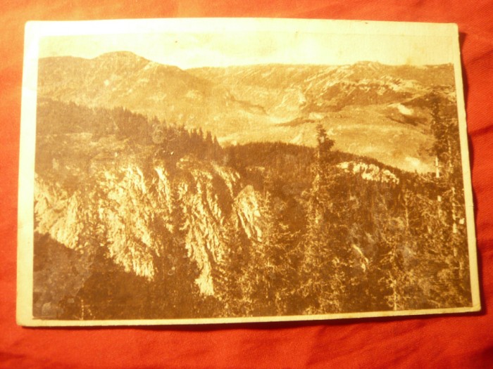 Ilustrata Bucegi - Valea Horoabei ,stampila speciala pt. Predeal ,circulat 1950