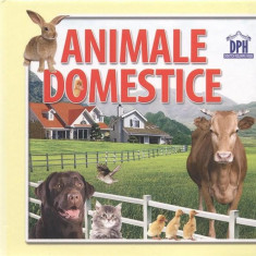 Animale domestice - 14 imagini cu animale domestice |