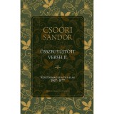 Cso&oacute;ri S&aacute;ndor &ouml;sszegyűjt&ouml;tt versei II. - K&ouml;ltői mag&aacute;ra tal&aacute;l&aacute;s 1967-1977 - Cso&oacute;ri S&aacute;ndor