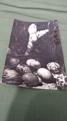 CARTE POSTALA FELICITARE CIRCULATA foto