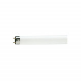 Tub neon fluorescent 36W lumina alba rece Snow White 120 cm