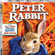 Peter Iepurasul 4K (Blu Ray Disc) / Peter Rabbit | Will Gluck