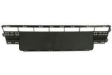 Suport numar de circulatie VW TRANSPORTER T6 platou / sasiu (SFD, SFE, SFL, SFZ, SJD, SJE, (2015 - 2024) BLIC 5703-05-9579920P