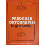 PREDAREA ORTOGRAFIEI IN GIMNAZIU-MELENTE NICA, SILVIUS CURETEANU-91351