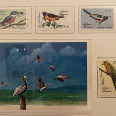 Antigua - Serie timbre pasari, fauna nestampilate MNH