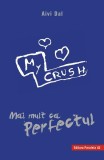 Mai mult ca perfectul - Paperback brosat - Dal Aivi - Paralela 45