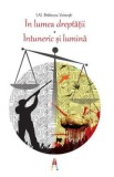 In lumea dreptatii. Intuneric si lumina - I. Al. Bratescu-Voinesti, Ioan Alexandru Bratescu-Voinesti