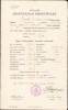 HST A1906 Certificat școlar 1908 Făgăraș elevă rom&acirc;ncă ortodoxă