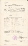 HST A1906 Certificat școlar 1908 Făgăraș elevă rom&acirc;ncă ortodoxă