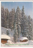 FA1 - Carte Postala - GERMANIA - Frohe Weihnachten, Salzburg circulata 1984, Necirculata, Fotografie