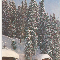 FA1 - Carte Postala - GERMANIA - Frohe Weihnachten, Salzburg circulata 1984