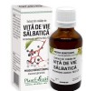 EXTRACT DIN MLADITE DE VITA DE VIE SALBATICA 50ML, Plantextrakt