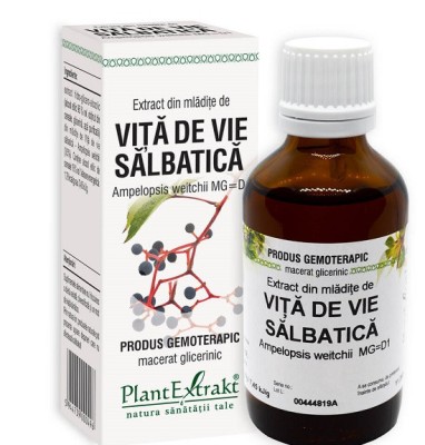 Extract din mladite de vita de vie salbatica 50ml foto