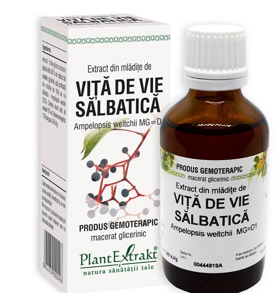 Extract din mladite de vita de vie salbatica 50ml