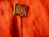 Insigna veche - Informatica ,Tehnica ,metal si email , h=1.9cm , ac relipit