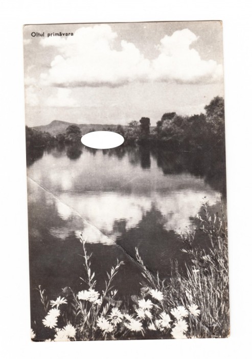 CP Oltul primavara, RPR, circulata, 1959, stare buna