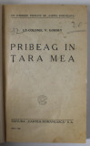 PRIBEAG IN TARA MEA de LT. - COLONEL V. GORSKY , 1925 , COPERTE REFACUTE *