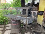 V&acirc;nd urgent cușca iepuri 2 compartimente