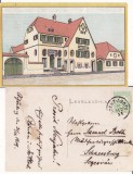 Dealu Frumos (Schonberg) , Sibiu -rara