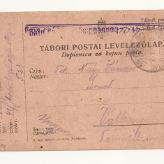 D1 Carte Postala Militara k.u.k. Imperiul Austro-Ungar , 1917, Reg. Torontal