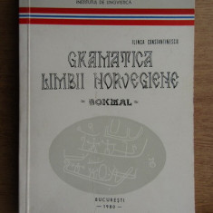 Ilinca Constantinescu - Gramatica limbii norvegiene