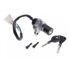 Contact pornire scuter Derbi Senda