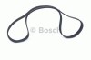 Curea transmisie cu caneluri AUDI A5 (8T3) (2007 - 2016) BOSCH 1 987 946 251