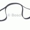 Curea transmisie cu caneluri AUDI A5 (8T3) (2007 - 2016) BOSCH 1 987 946 251
