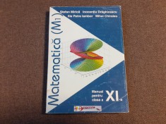 MATEMATICA MANUAL PENTRU CLASA A XI M1 I DRAGHICESCU,ILIE IAMBOR FARA PAGINA DE GARDA