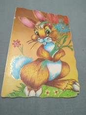 CARTE POSTALA FELICITARE PASTI CIRCULATA foto