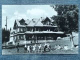 654 - Vila din Homorod Bai / carte postala circulata