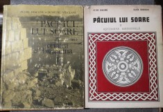 Petre Diaconu - Păcuiul lui Soare: cetatea bizantină + aşezarea medievală 2 vol