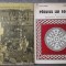 Petre Diaconu - Păcuiul lui Soare: cetatea bizantină + aşezarea medievală 2 vol