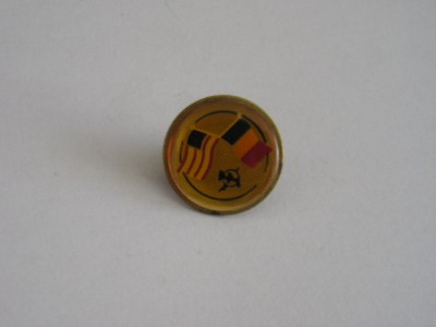QW9 N3 24 - insigna - steaguri - Romania - Statele Unite ale Americii foto