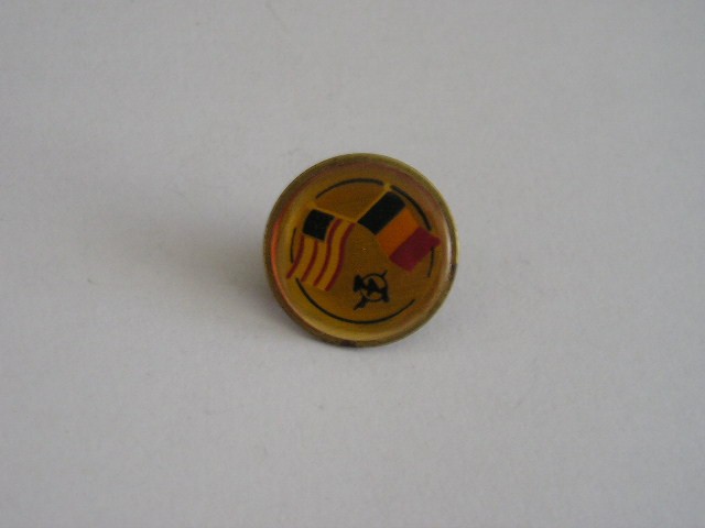 QW9 N3 24 - insigna - steaguri - Romania - Statele Unite ale Americii