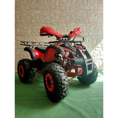 Atv Grizzly Kxd 125Cc 006-8 Pro Cutie De Viteza 3+R foto