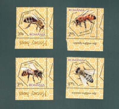 Romania 2010 Fauna Albine melifere MNH Serie completa LP 1854 foto