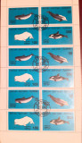 Batum fauna marina, delfini serie x3 MS, stampilate