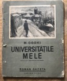DVP RPR1 M. Gorki - Din universitatile mele