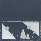 Rom&acirc;nia, suport carte poştală dublă, felicitare de Crăciun sau Anul Nou, Necirculata, Printata