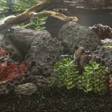 Roci Vulcanice Acvariu/Terariu vidaXL, Negre, 10-30cm, 25kg - Decor Natural, Filtrare Biologica