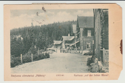 1932 CP ilustrata Statiunea climaterica Paltinis, Kurhaus Hohe Rinne foto