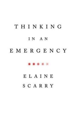 Thinking in an Emergency foto