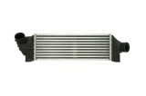 Radiator intercooler FORD TRANSIT platou / sasiu (FM_ _, FN_ _) (2000 - 2006) THERMOTEC DAG010TT